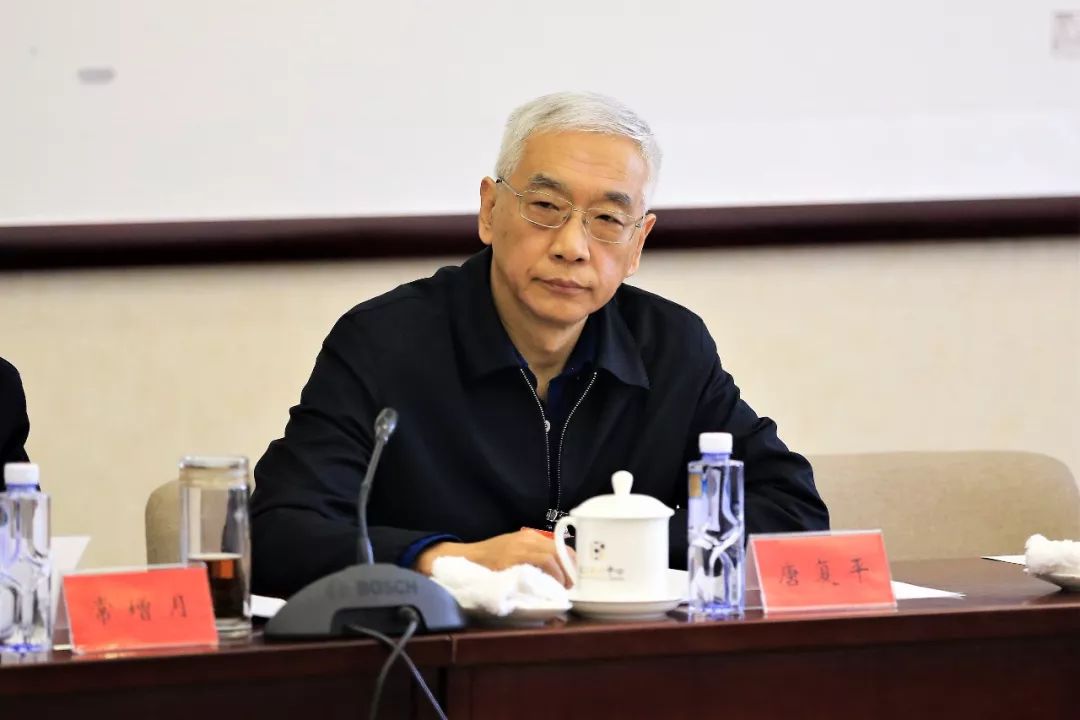 唐復(fù)平：五礦中冶重組已取得“1+1>2”的效果